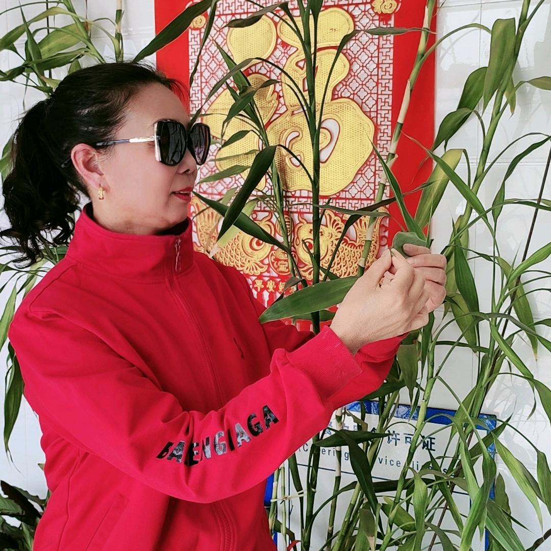 鸿运当头.