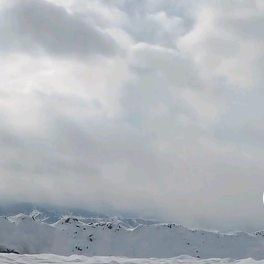 晋H批发零售猪肉