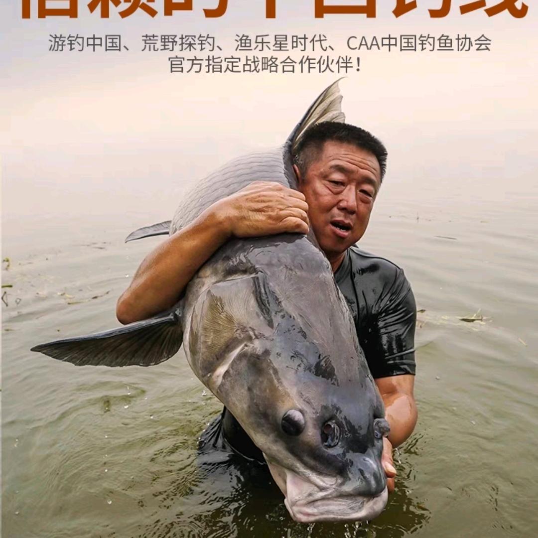 冠宇钓具~高端主线仕挂