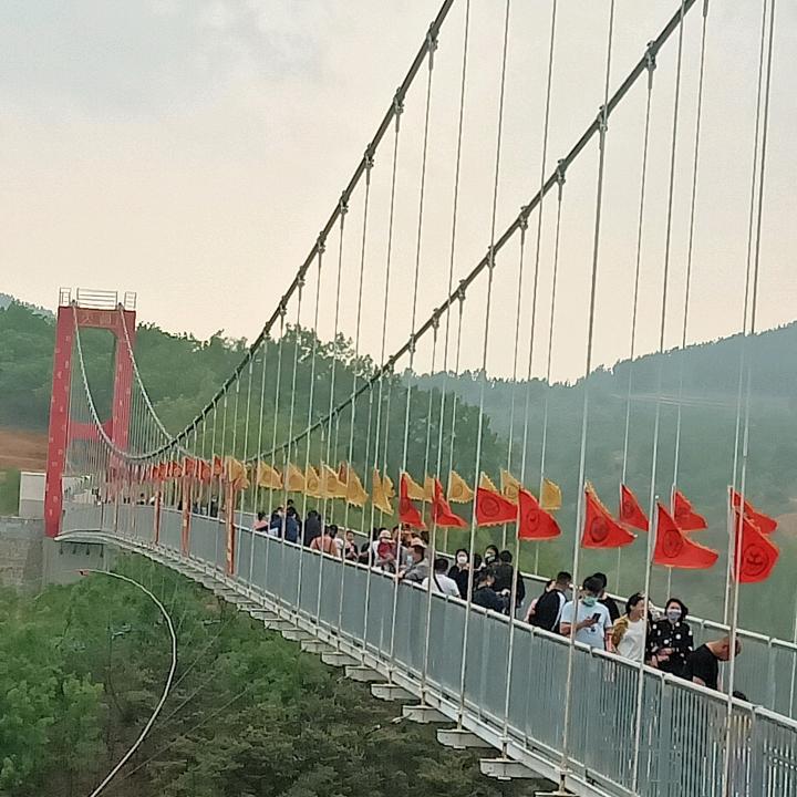 军中成张