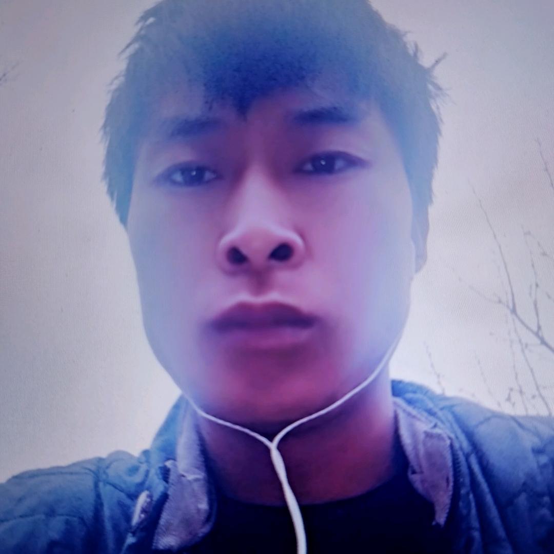 浪漫的蝴蝶。