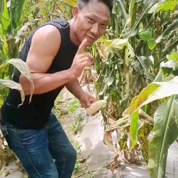 ✨农村阿海