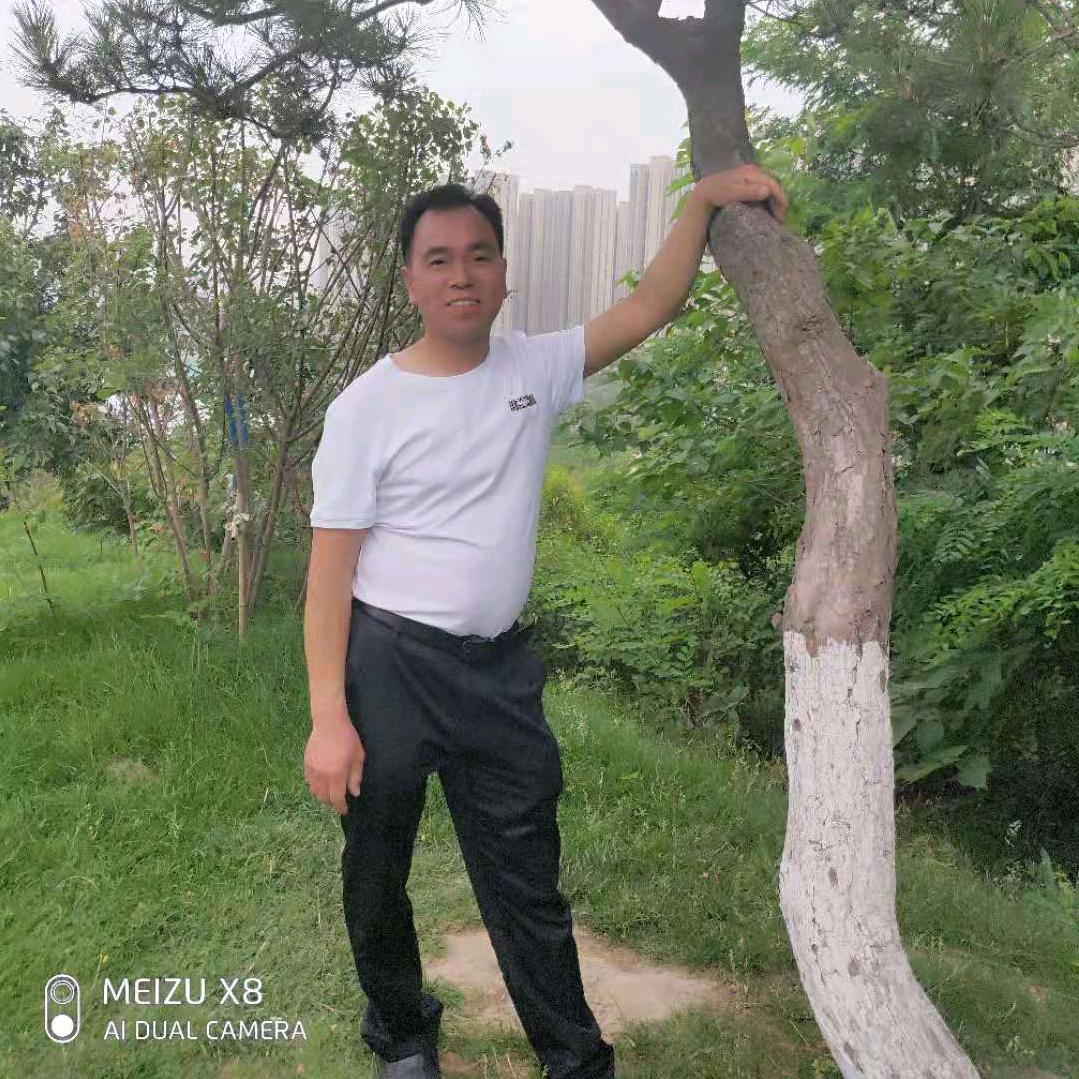 春天的阳光