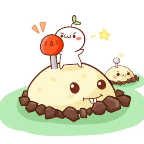 pvz洪晨