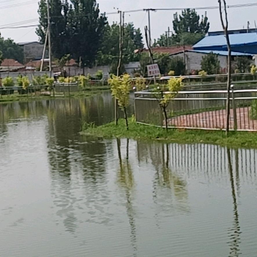 范县大富豪扶手栏杆制作有限公司