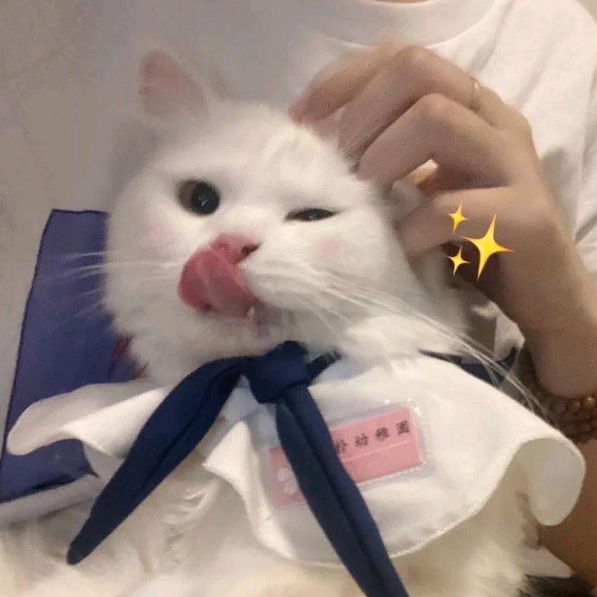 给点皮皮限吧