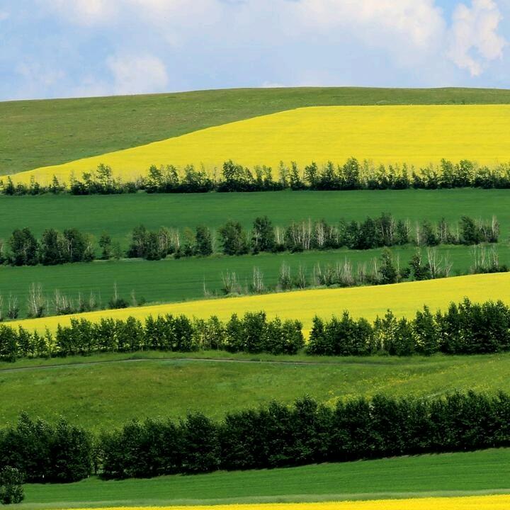 平平安安，健健康康