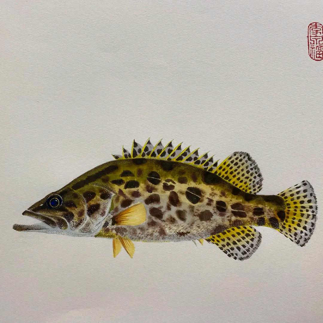 一如既往🐠