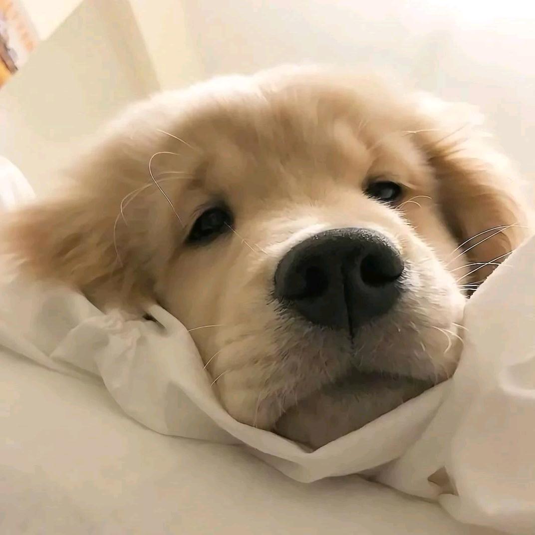停一下
