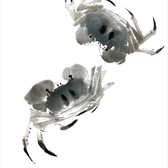 画家丁昱年