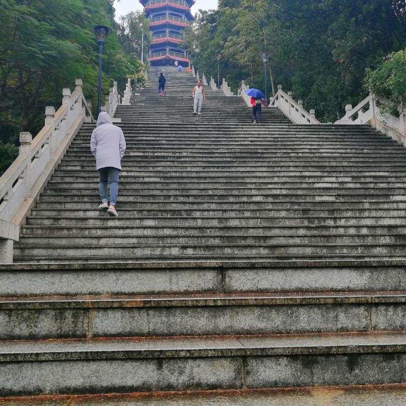 陈姐食堂承包