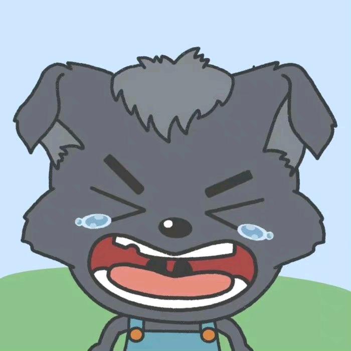 睡不着的翔
