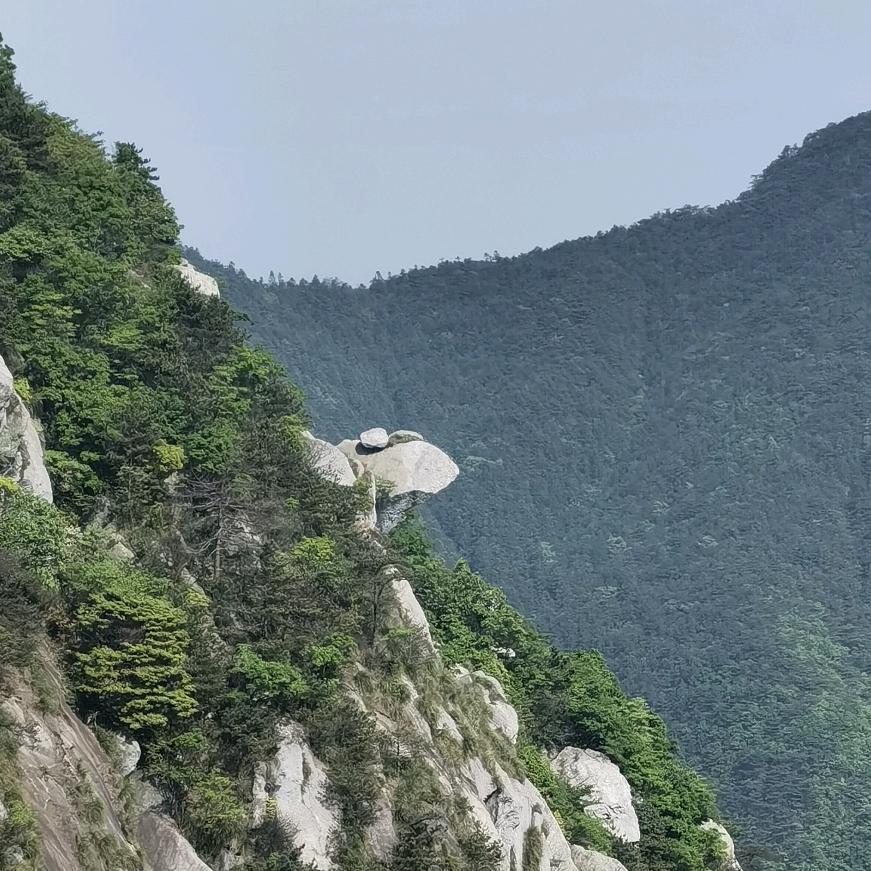 寂寞如雪