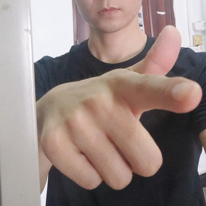 疯儿猫猫