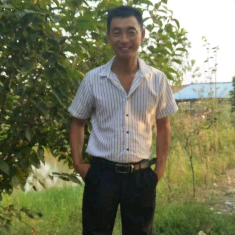 霍邱土鸡🐔养殖