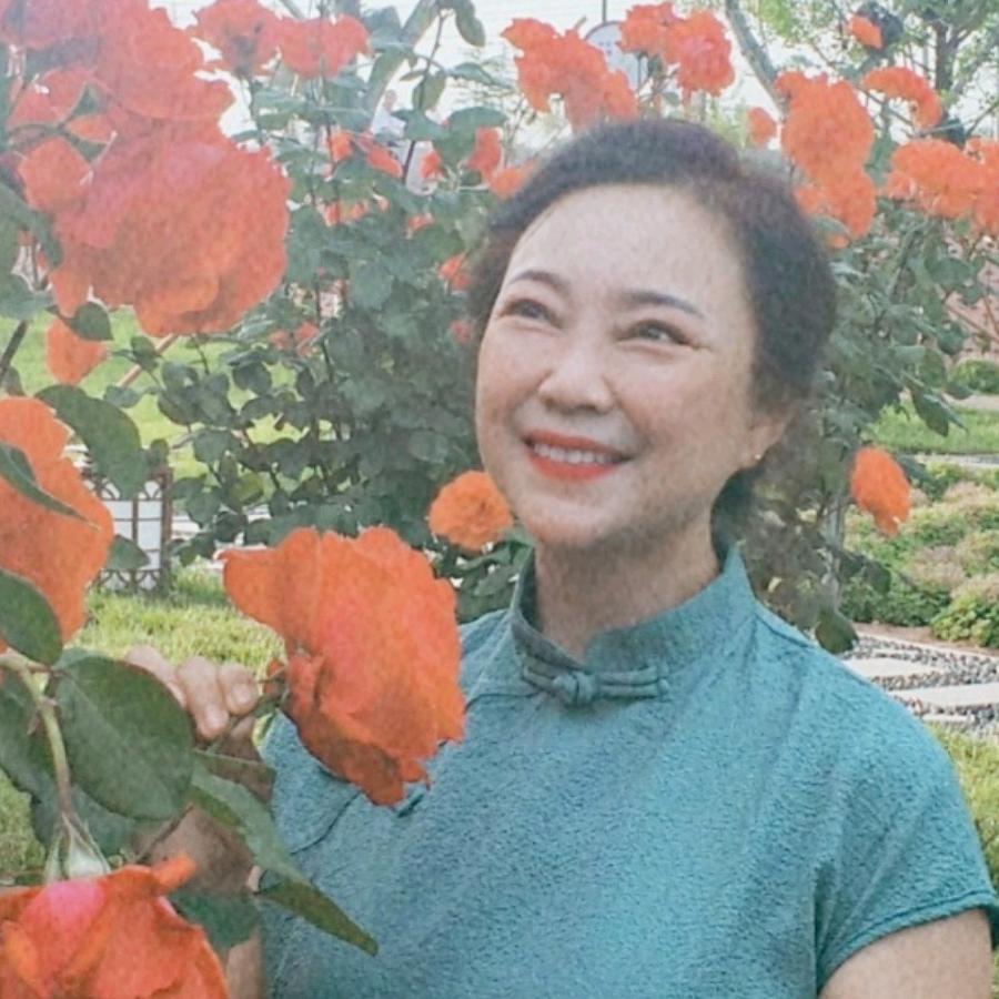 稳稳的幸福
