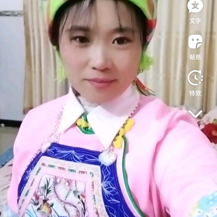 凤凤