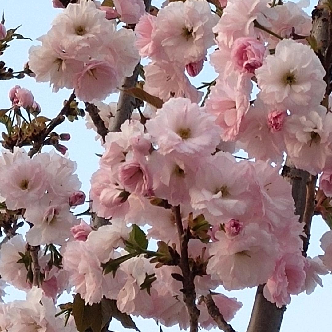 霍州房产♥静待花开