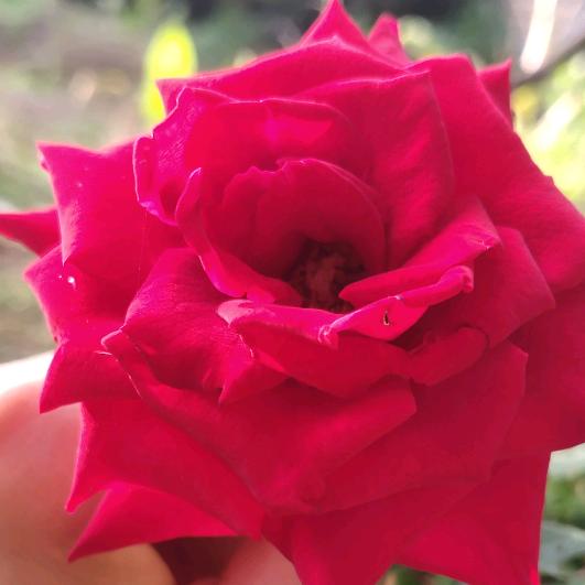 ~ℳঞ ꦿ水水 ໌້ᮨ꧔ꦿ᭄💕