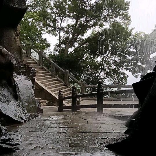 天天愉悦196
