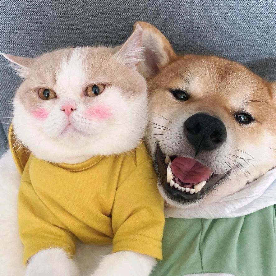 上班不摸  俞先生