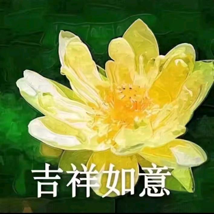 陈一瓶