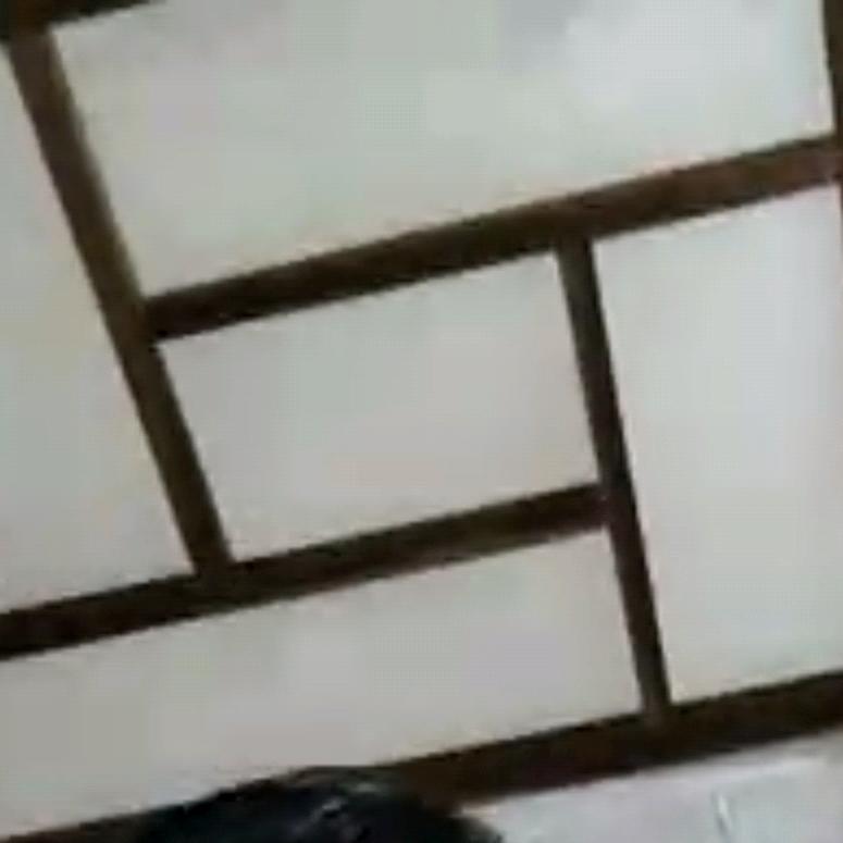 小老太太选好物