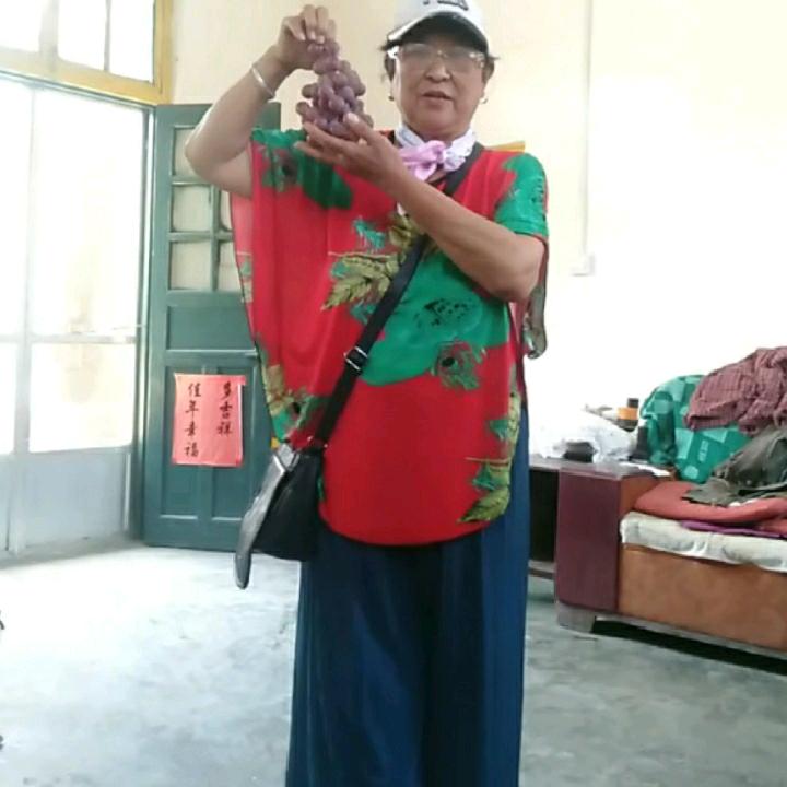 袁云云