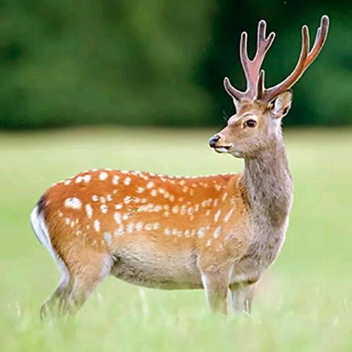 99999位用户觉得很赞