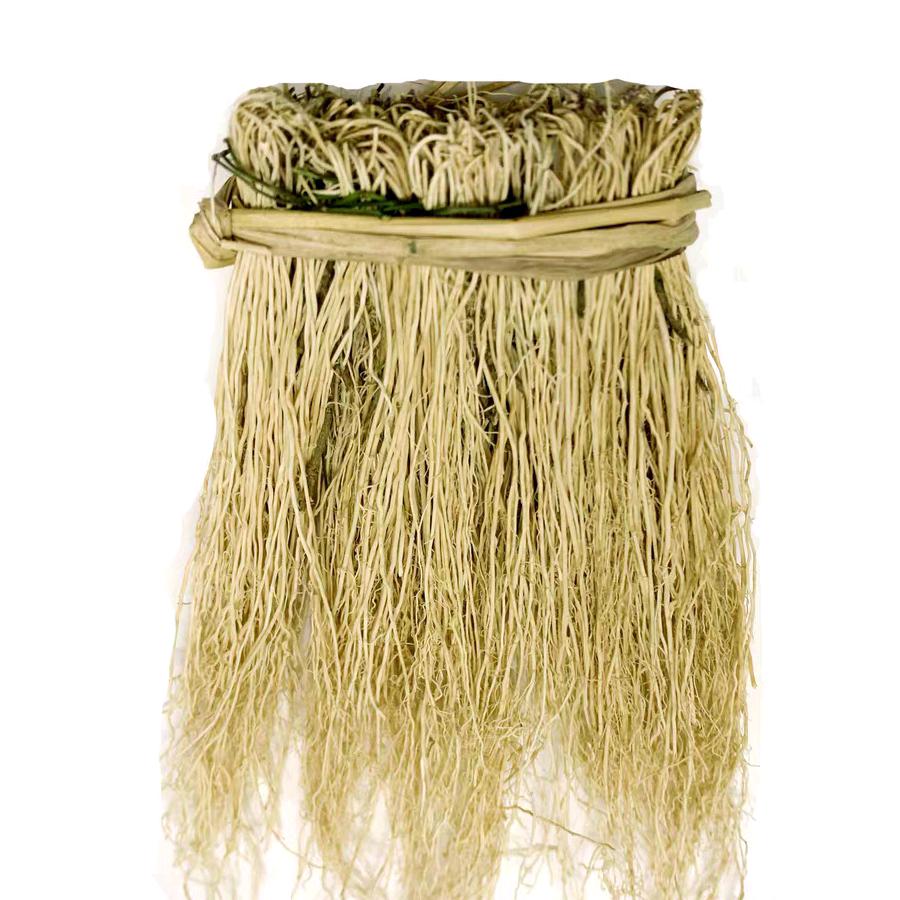 养肝草基地直销