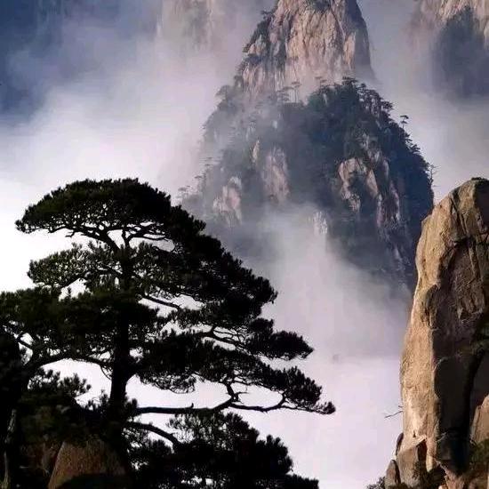 青龙集福又多超市