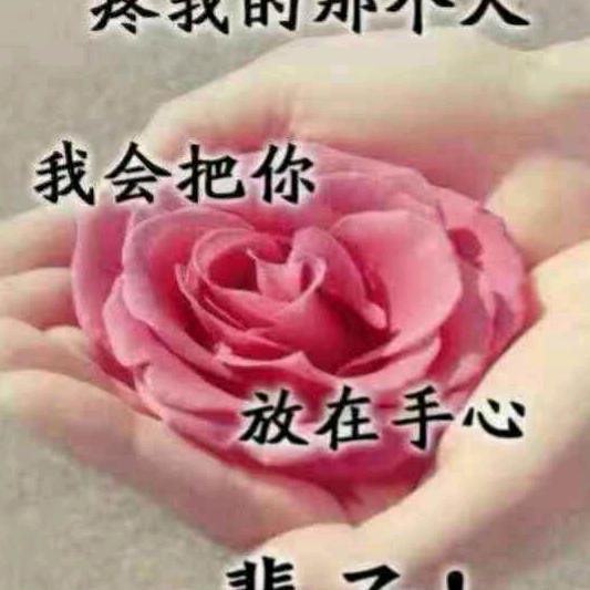 霞霞