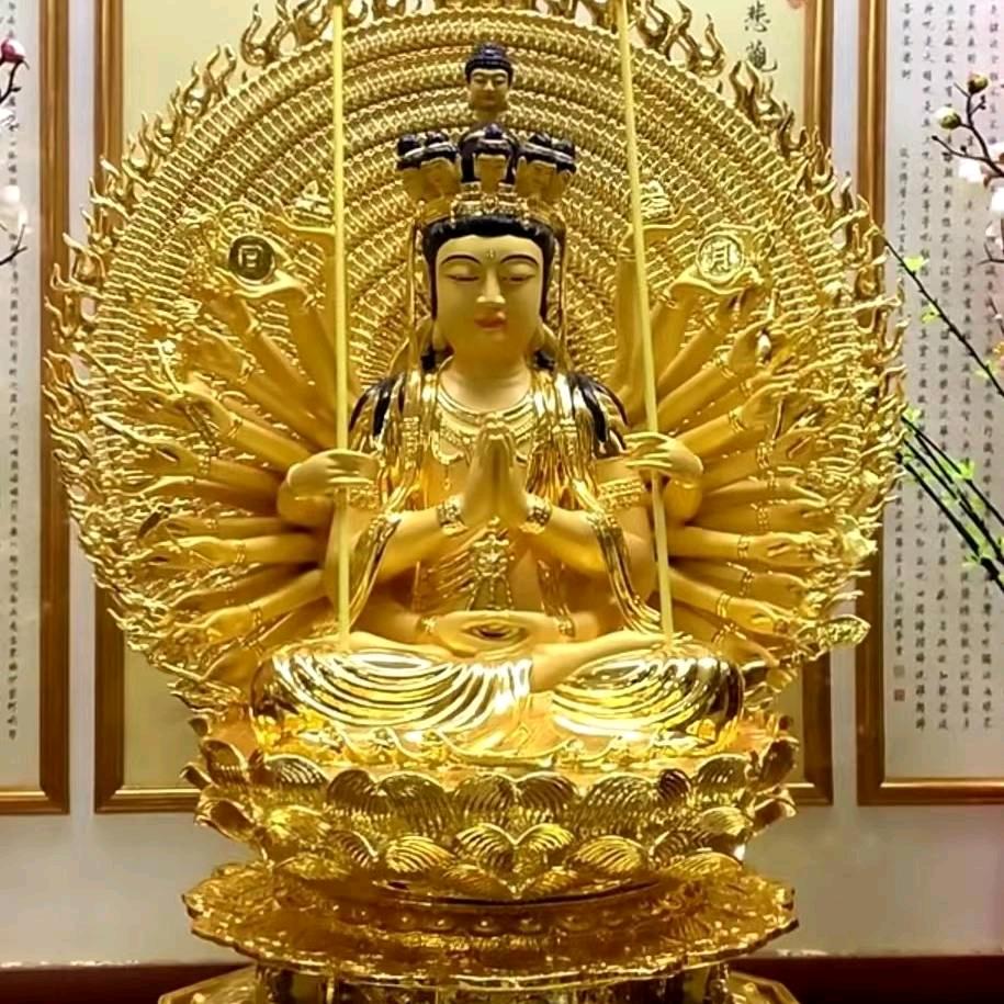袋鼠、啄木鸟
