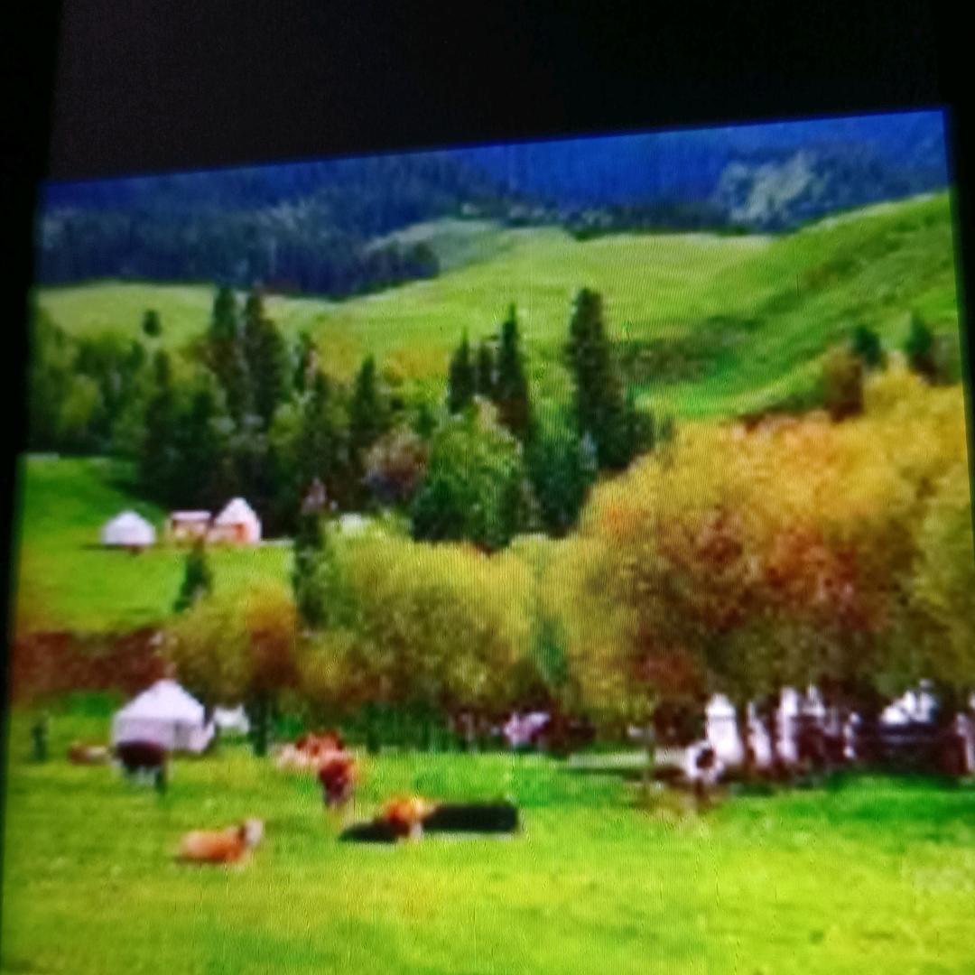 大草原不加好有