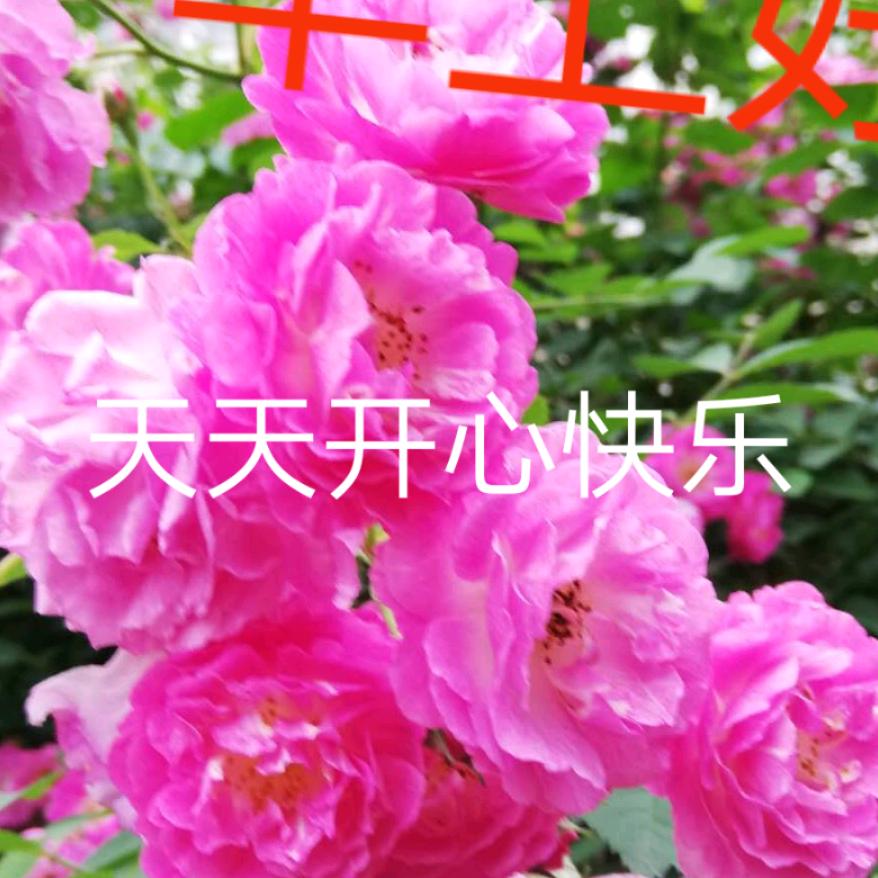 军山湖水