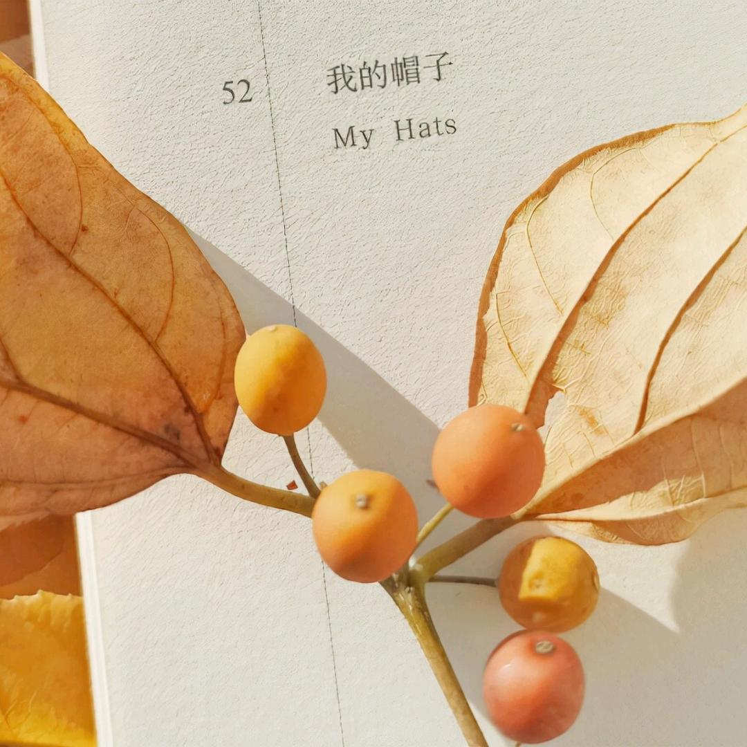 鹿可摘星尘