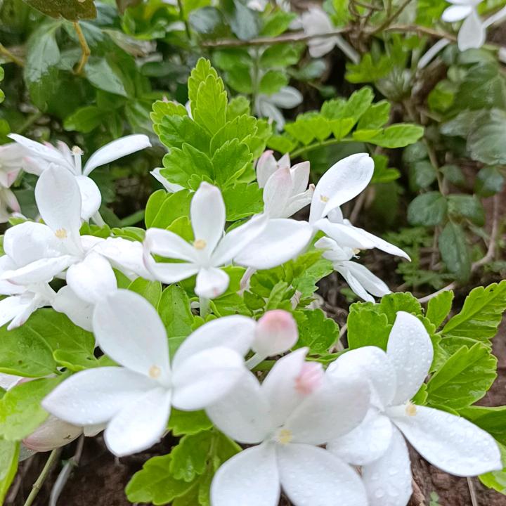 姐 👉就是任性