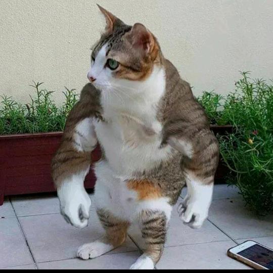 这位小哥