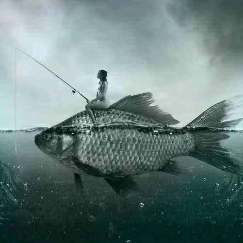 渔乐圈里修大屏的老鬼