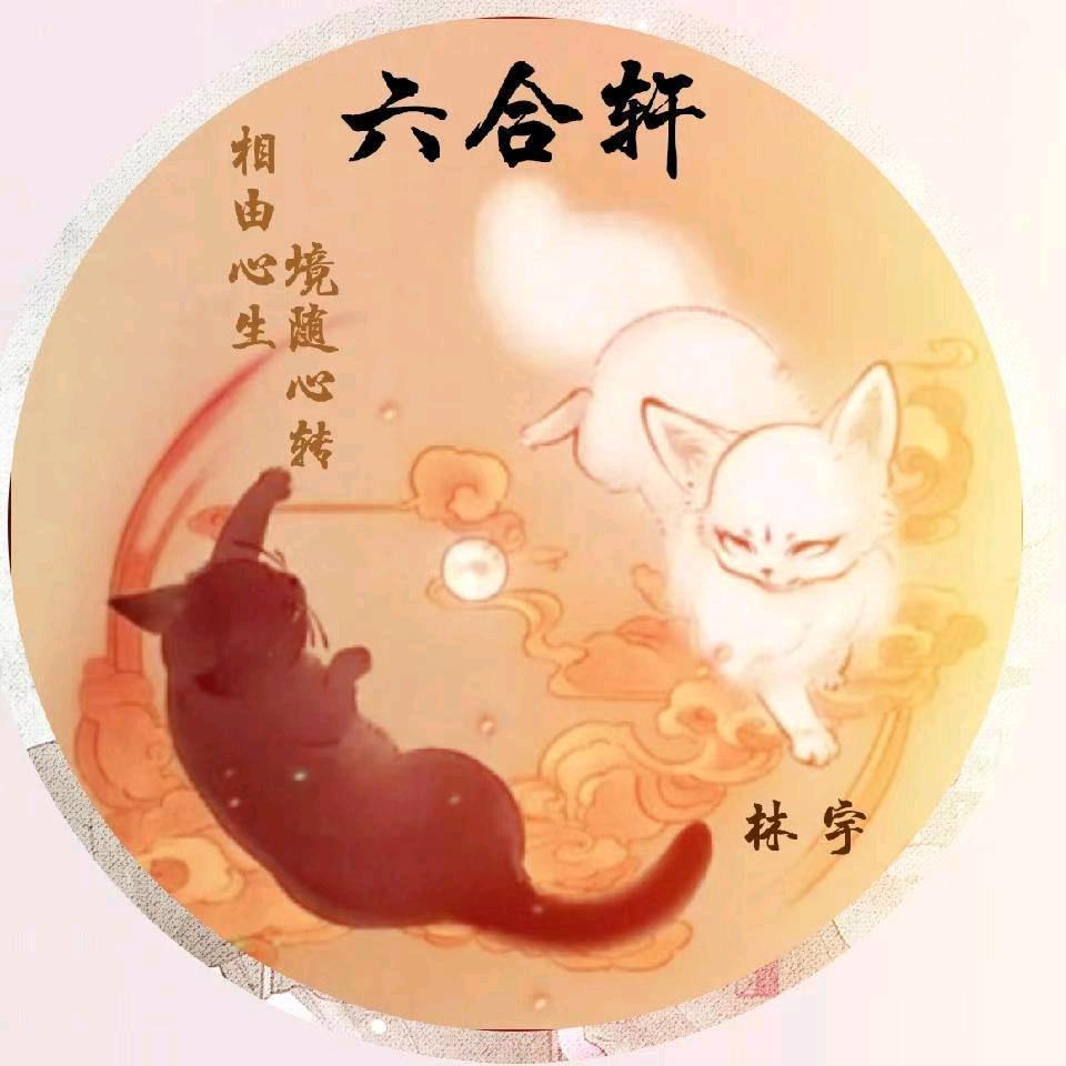 林宇-六合轩