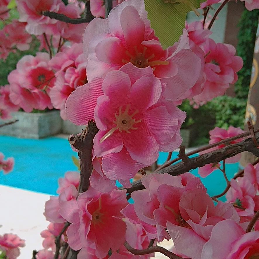 心情快乐