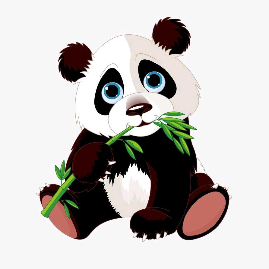 快乐的小熊猫
