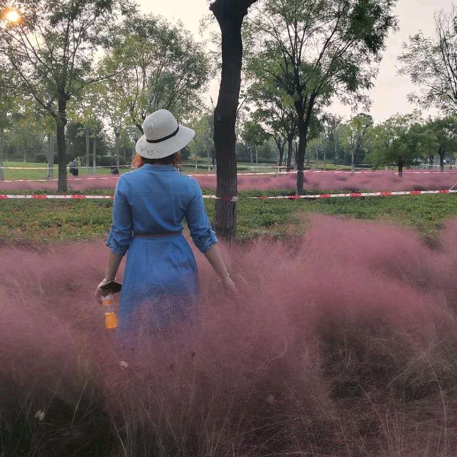 淮南体育中心燕子健身操队