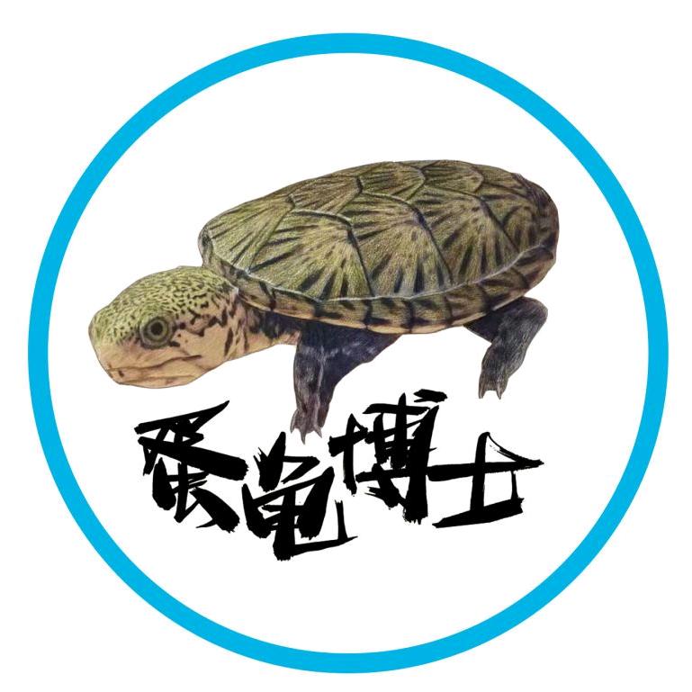 蛋龟博士