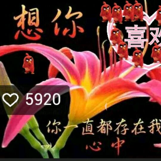 余生爱你❤️