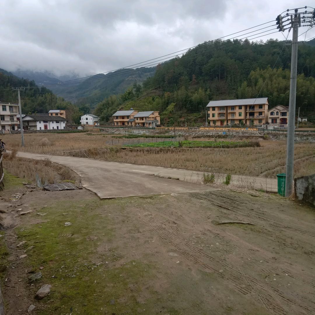 平安健康