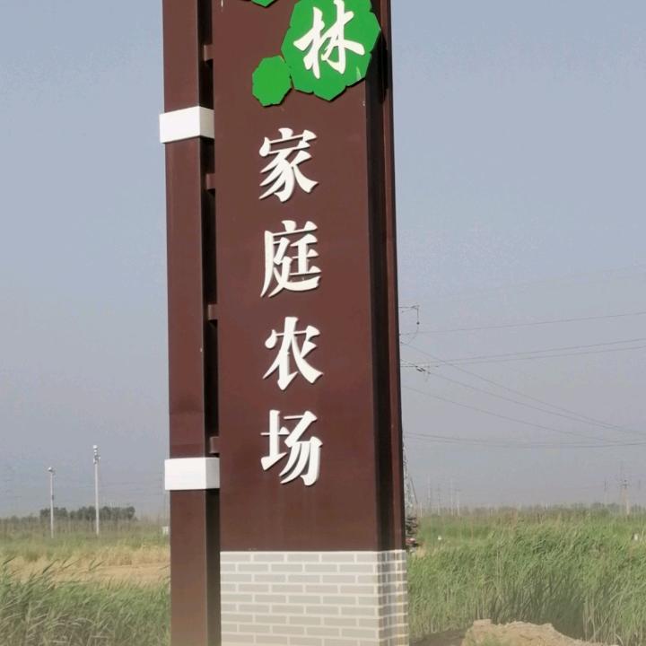 忠哥