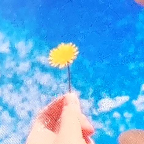 梅梅正能量