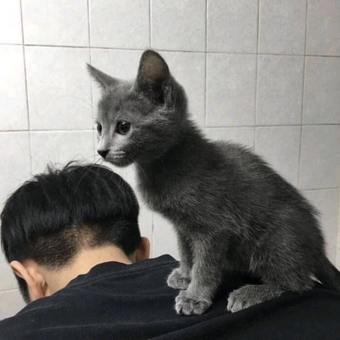 郑楷司
