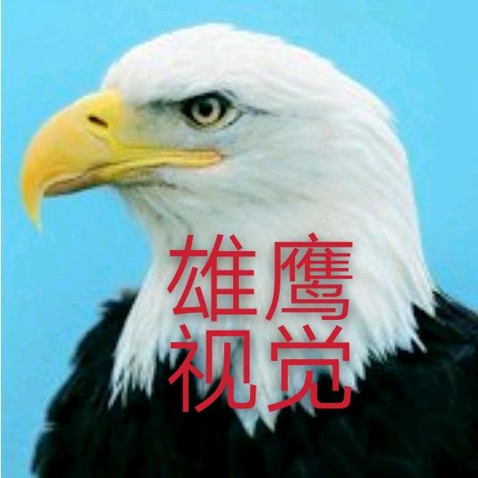 雄鹰